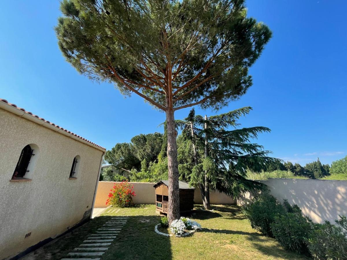 Annexe Des Pins - Studio Gite Avec Piscine & Climatisation Villeneuve-lès-Béziers Esterno foto